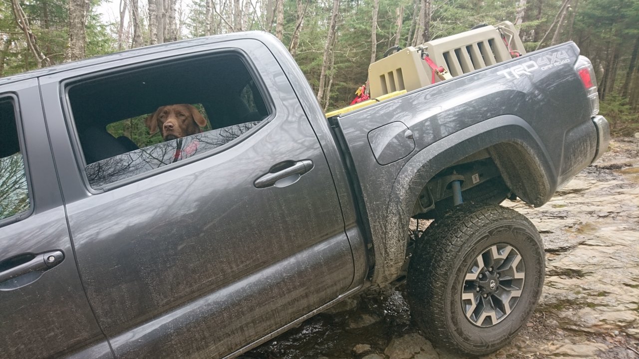 Rae and the Off Road.jpg