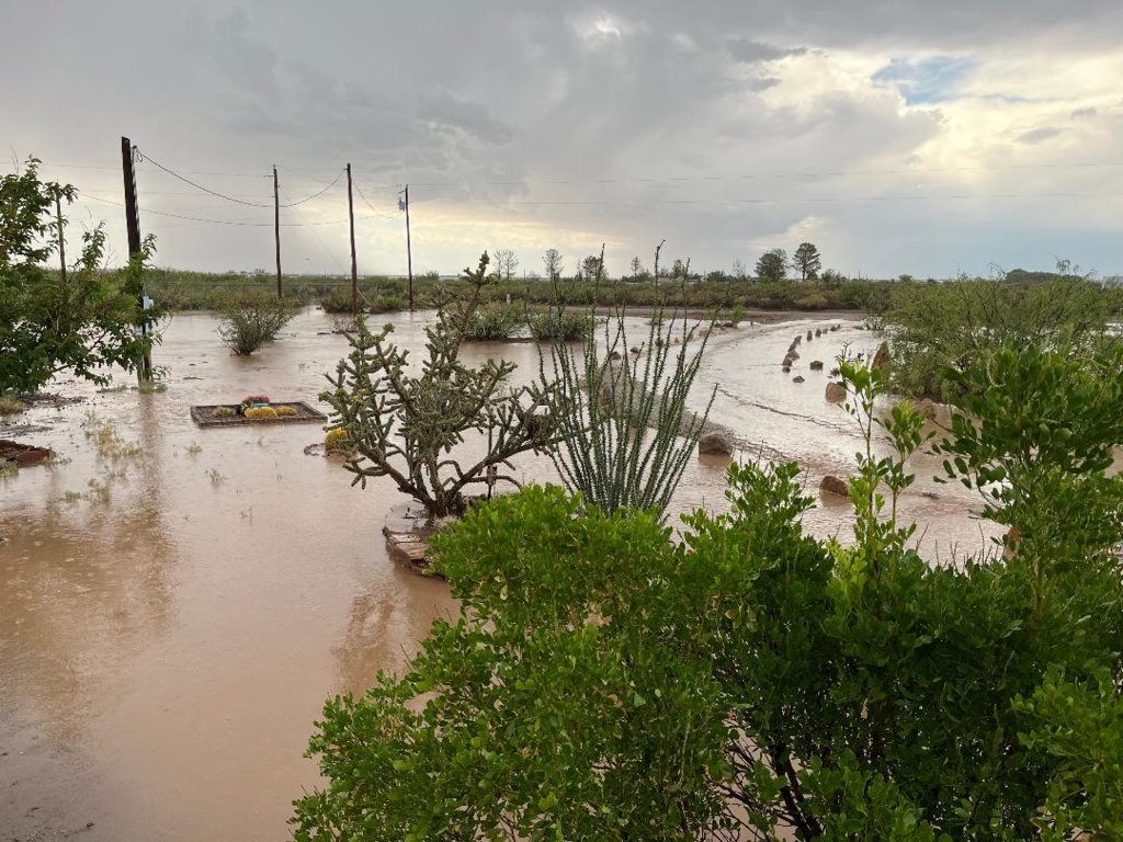Rain June 30th 2025.jpg
