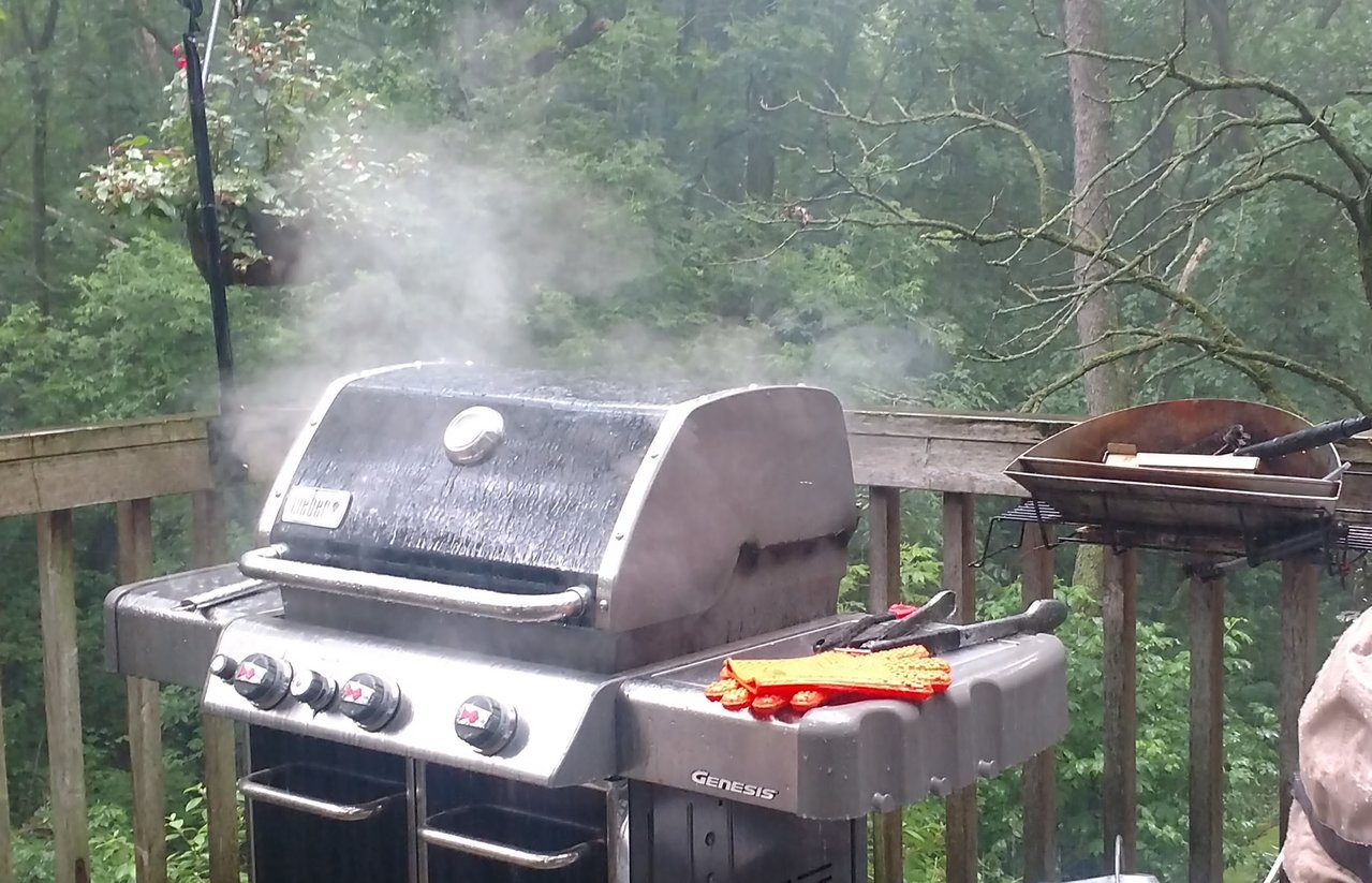 rain kabobs.jpg