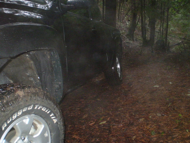 rain trails 019.jpg