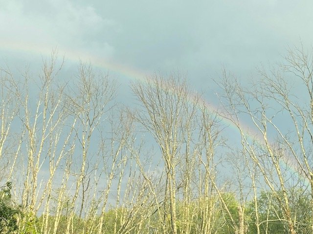 rainbow.jpg