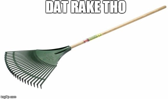 rake meme.jpg
