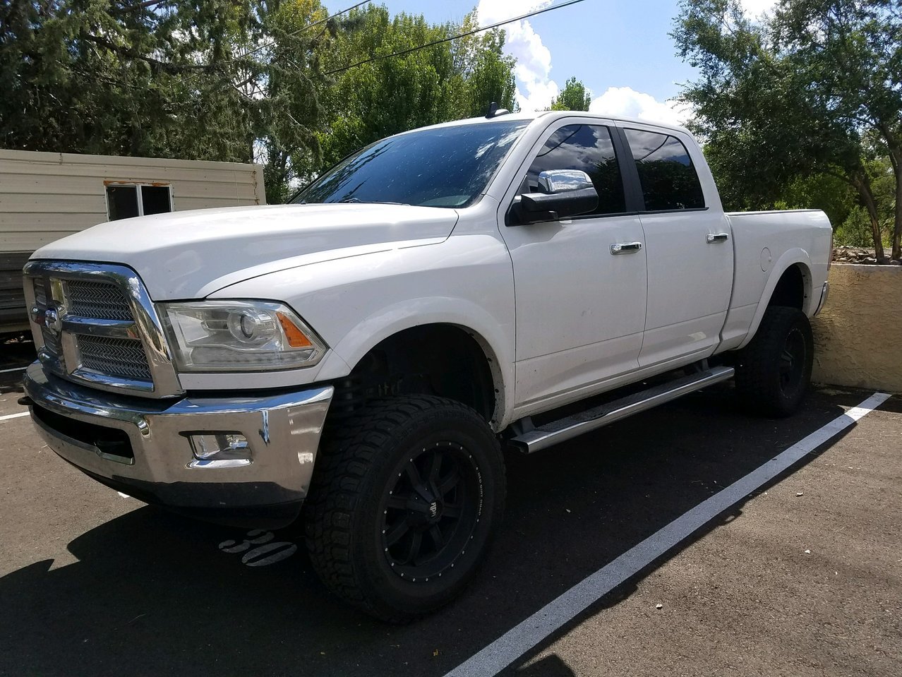 Ram.jpg