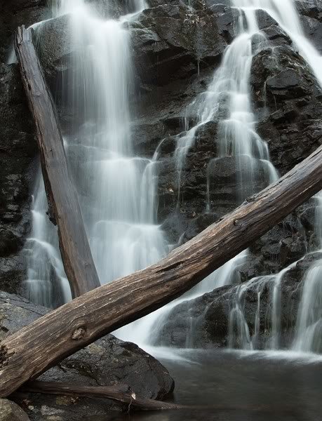 Ramapo-0030-L_b7717c81b51286b1834d4cbdd0cabde898b18041.jpg