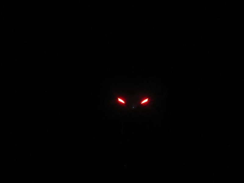 Random Pics 053.jpg