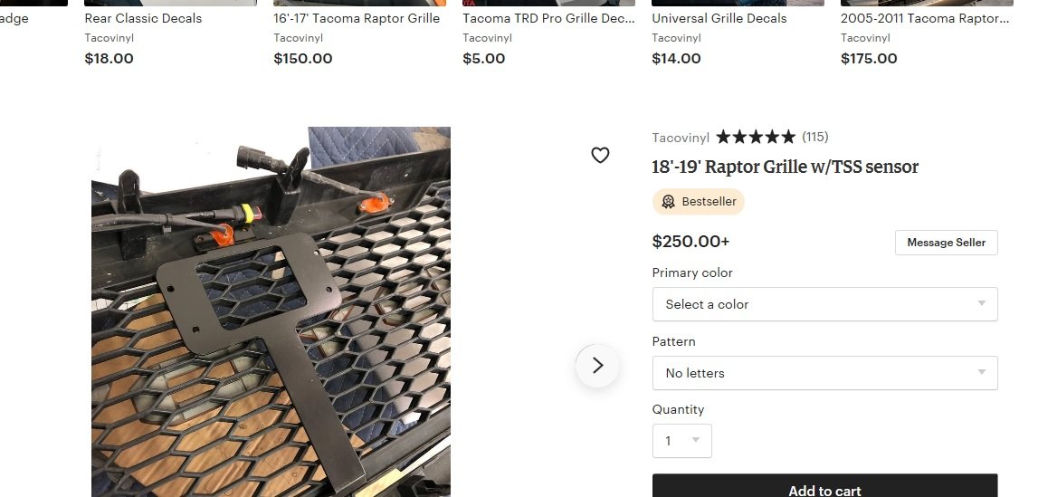 raptor 1.jpg