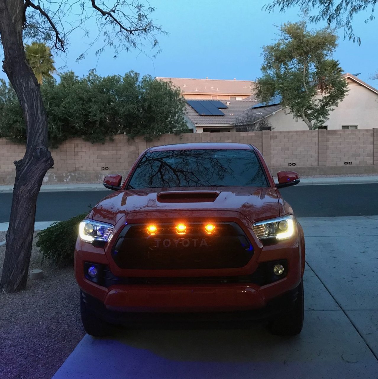 Raptor.jpg