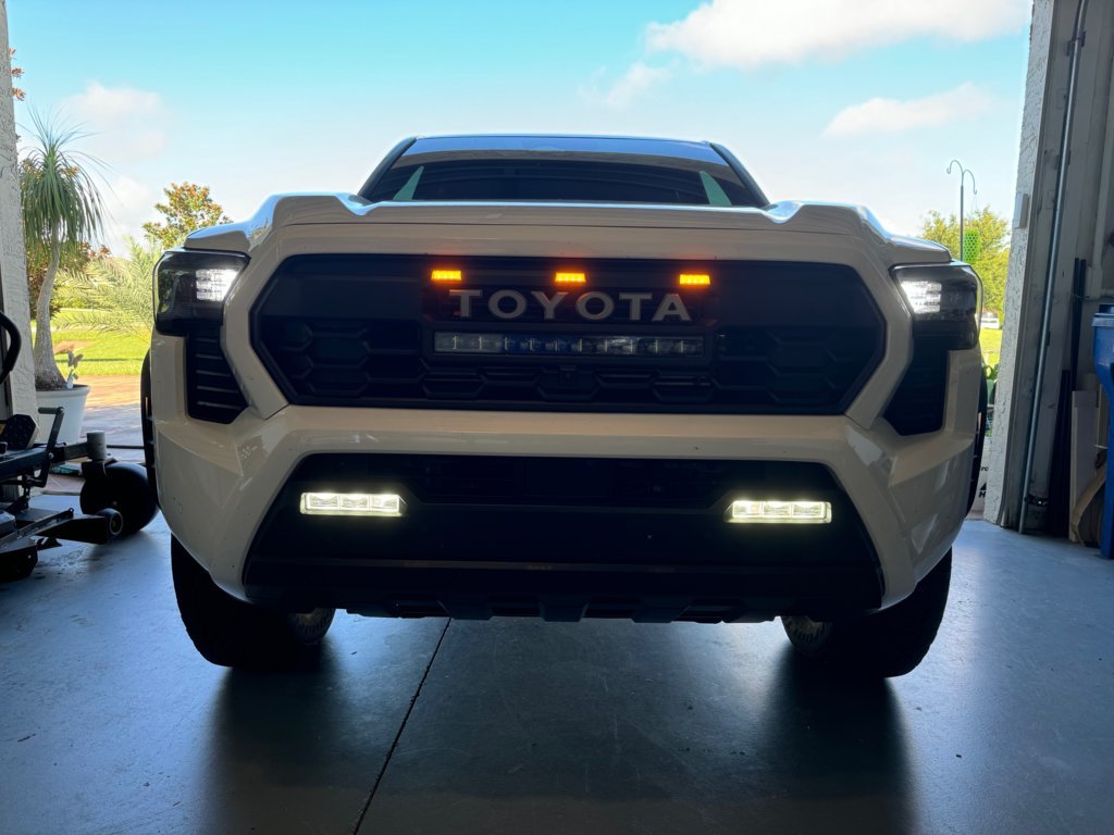 Raptor.jpg