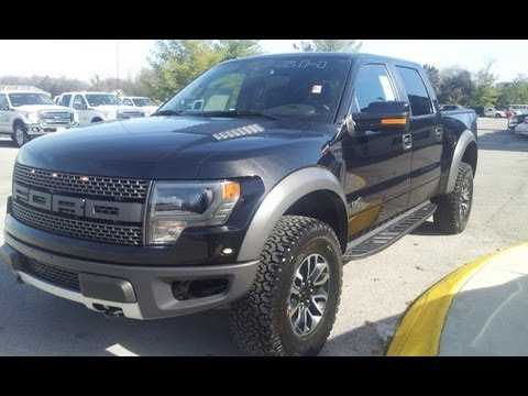 raptor.jpg