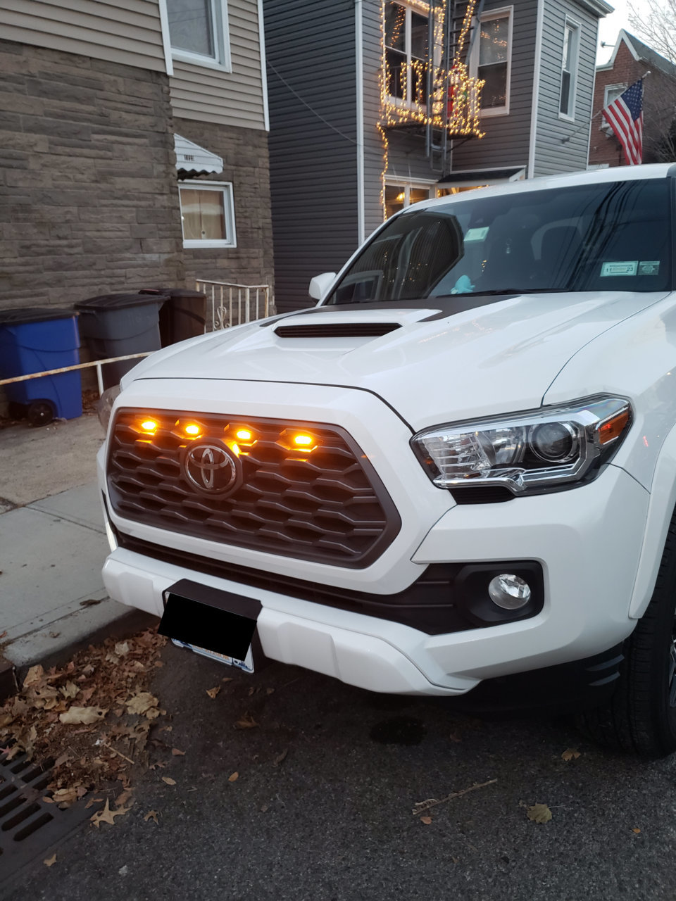 Raptor Lights_2.jpg