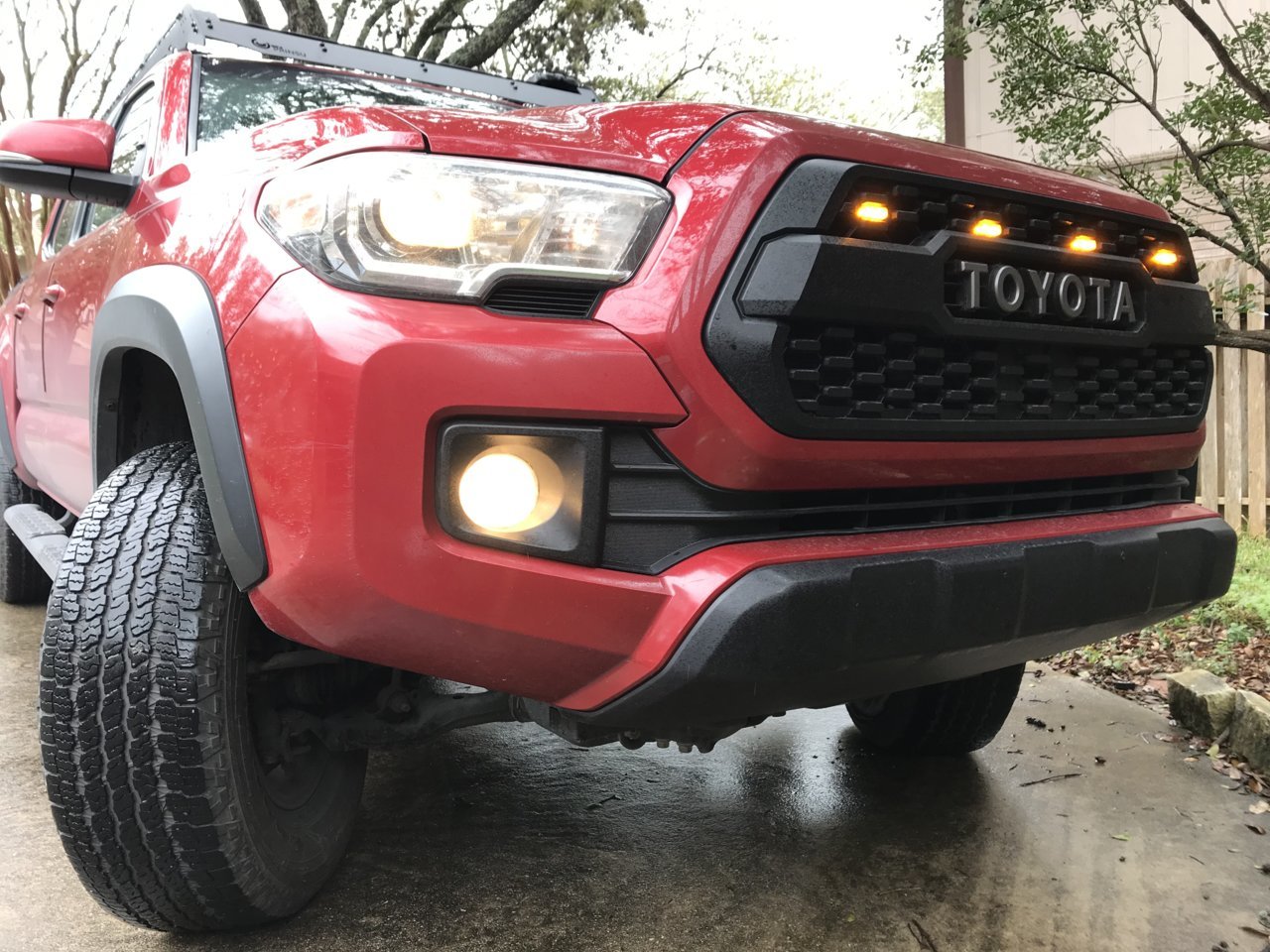Raptor1.jpg