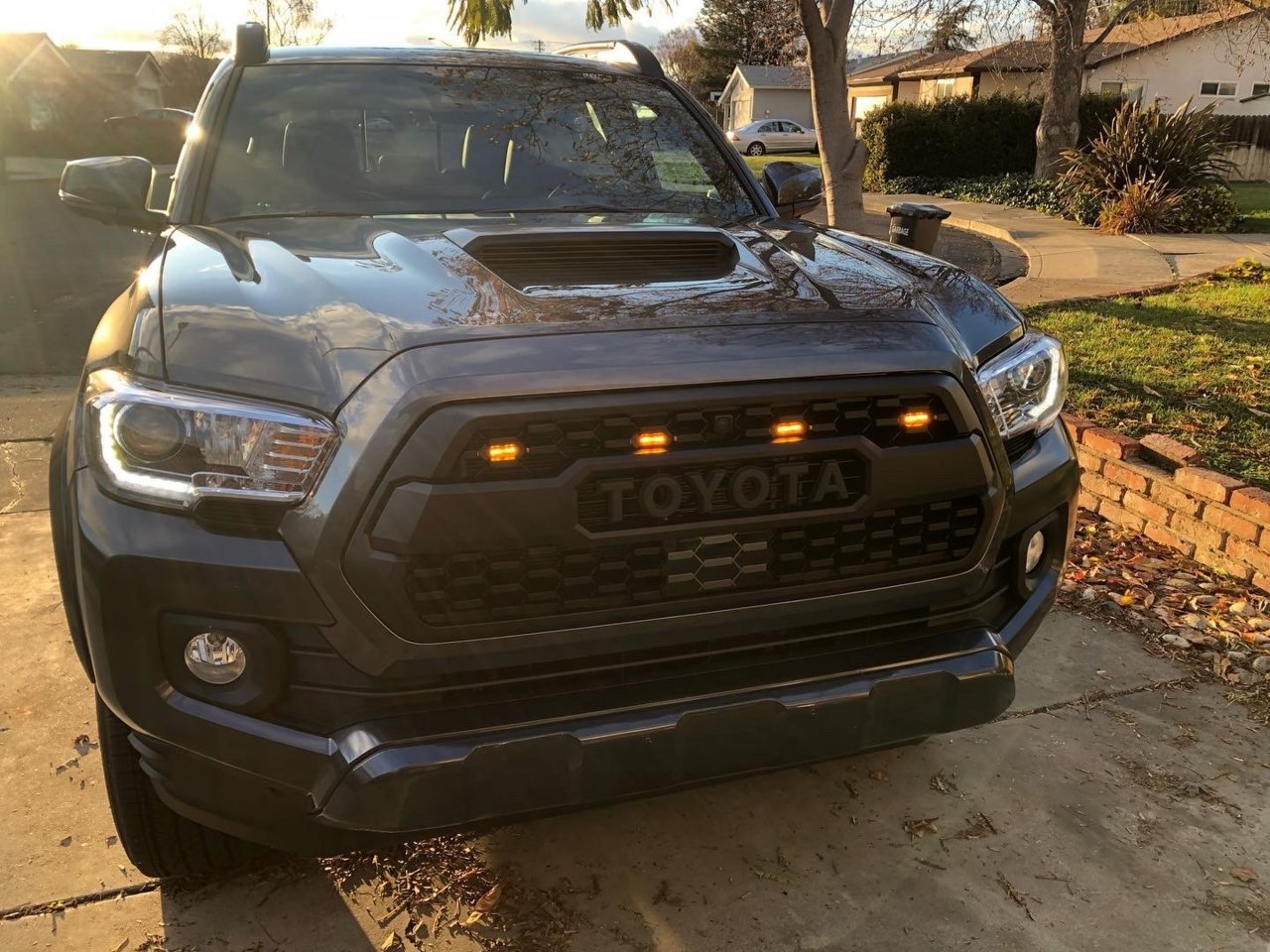 raptor1.jpg