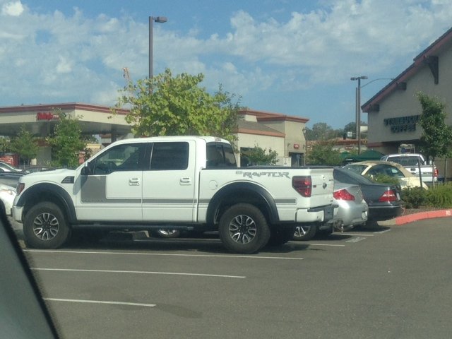 Raptor_zps621b12eb_4bfbe665499ba2e7fc515ec3abb522a9bbca2da4.jpg