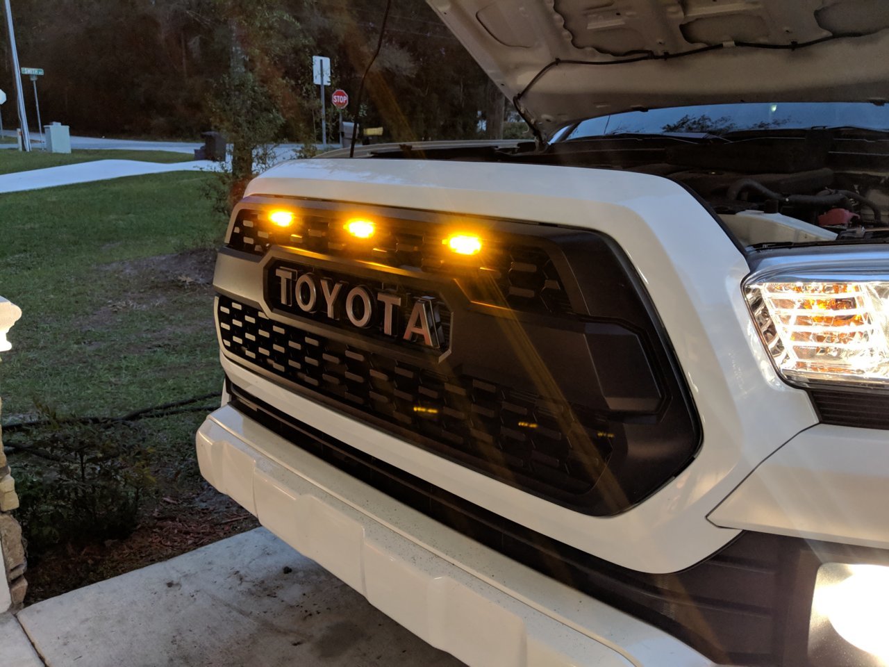 RaptorLights.jpg