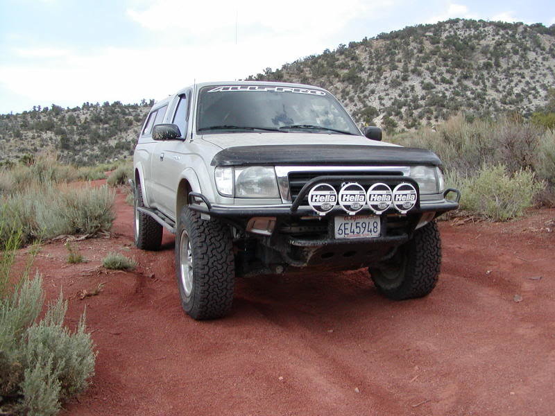 Rattlesnake40_f7278c0937e7d37e5f4c0a973e7861fa4c520227.jpg