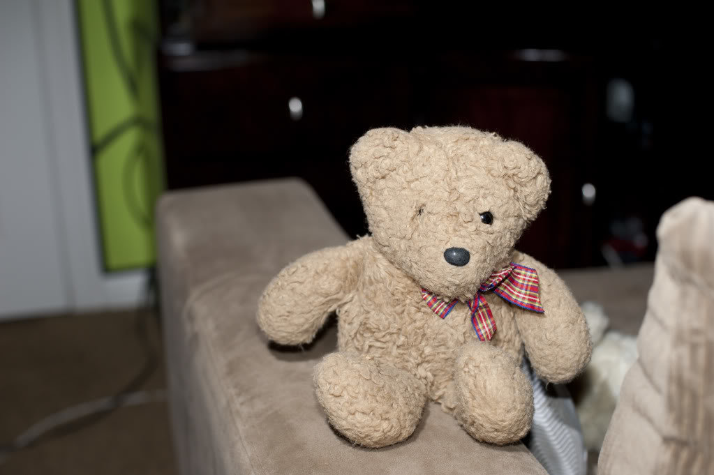 rawteddy_7984bbfcc1ab1745744ae5f54ff770da75945fb3.jpg