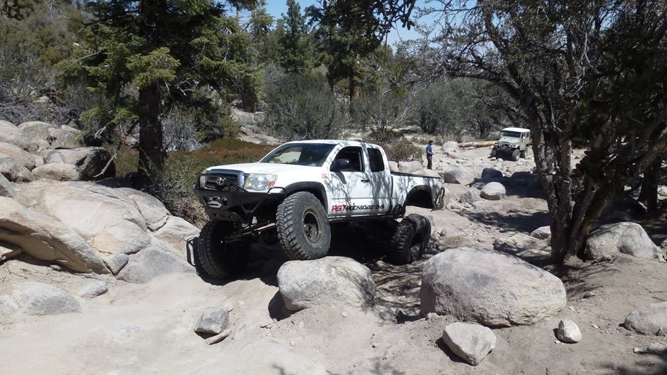 RaySASBigBear2_zpsc6971e36_1929eaf5aa749a9b8f970753725bd26575b98f60.jpg