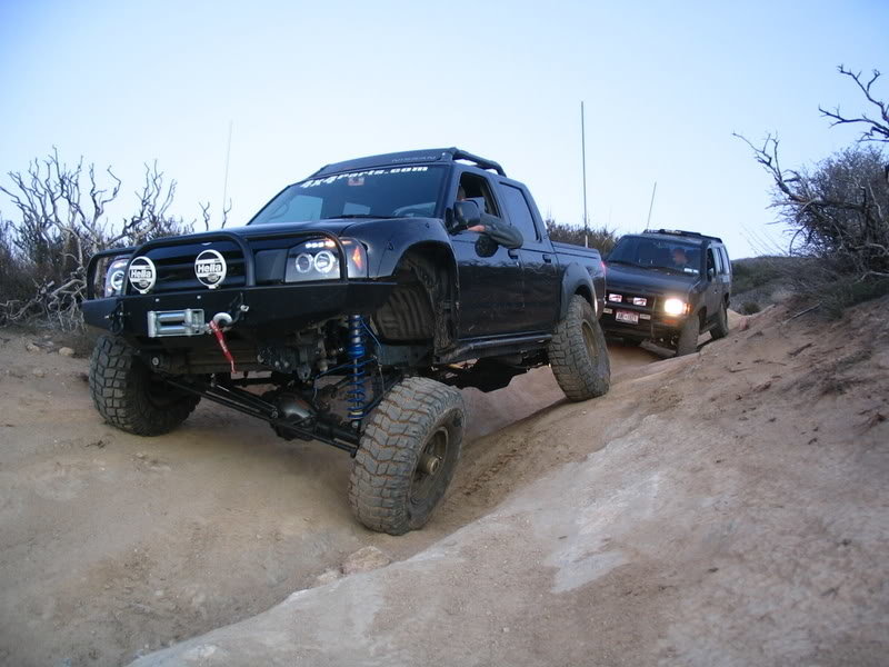rbcleghorn014_10766c7d4452b42e883cb6af75353bb1fe4696d2.jpg