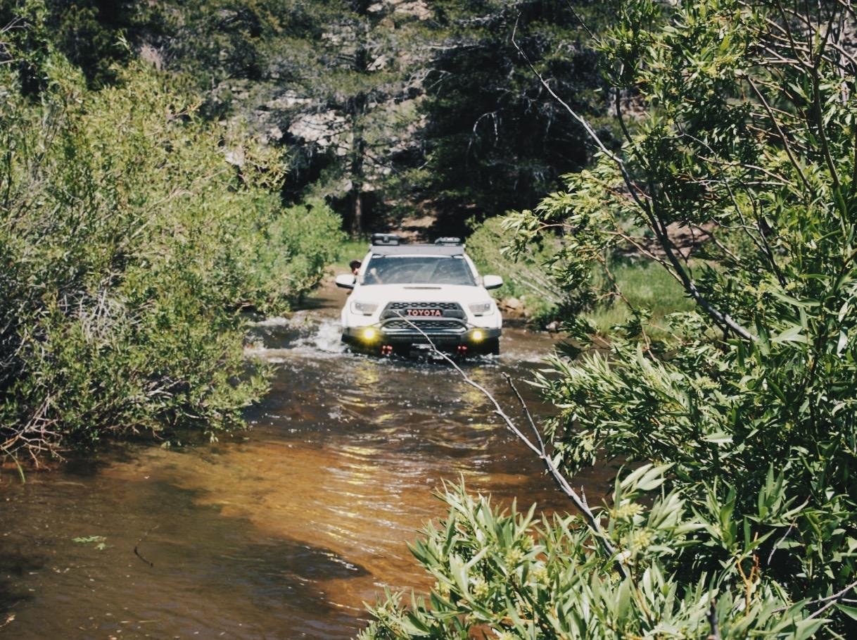 rc0.jpg