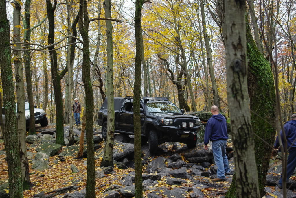RC10-20-12147_958bf0085258cc6ee50148e40aba5334a832df72.jpg