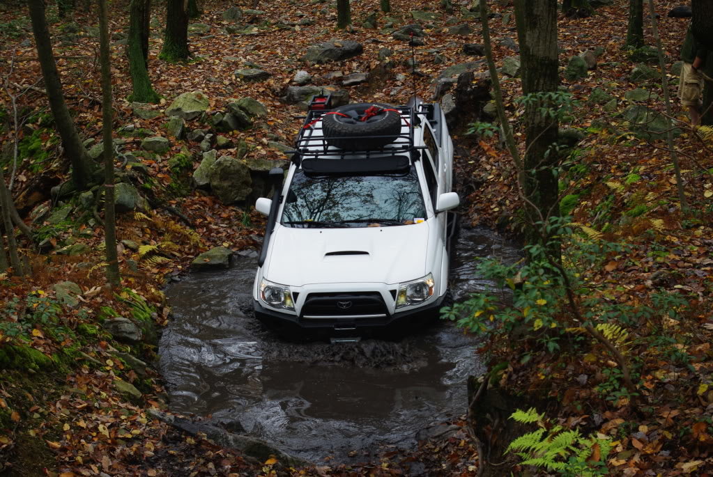 RC10-20-12156_0b2704115f509b65e0bdde26da5fadccfea3c1b7.jpg