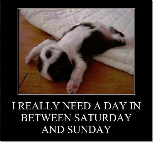 Really-need-a-day-in-between-Saturday-and-Sunday-resizecrop--.jpg