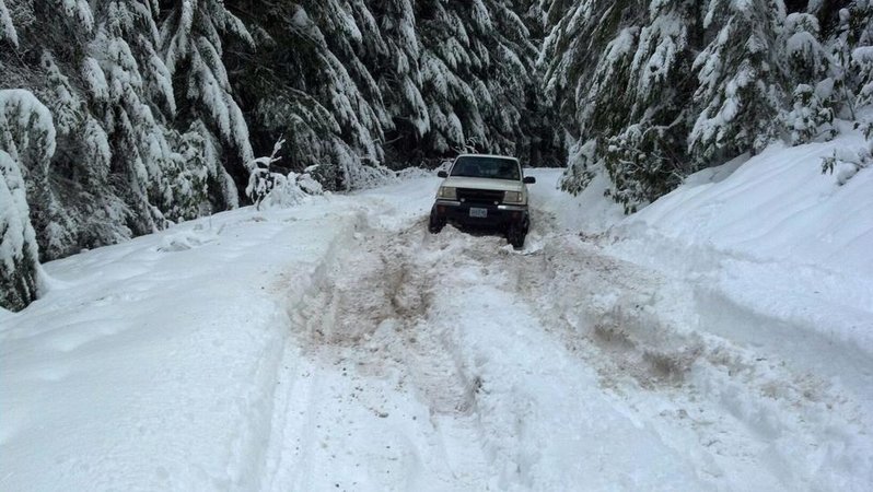 really stuck 2012.jpg