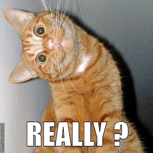 really_cat_zpsocqvw9ua_9ddd2fafc3cbee12798dd949d3bea33443270dfa.jpg