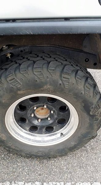 rear 2.jpg