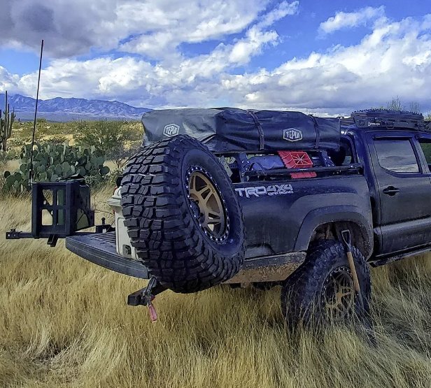 rear 3 bumper.png
