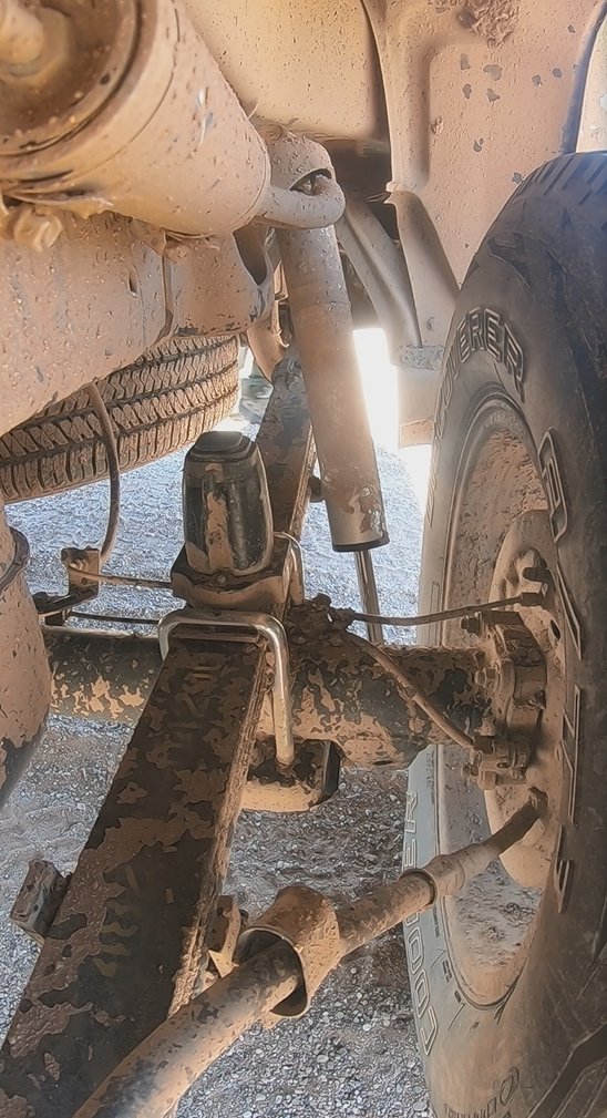 rear bumps w coopers.jpg