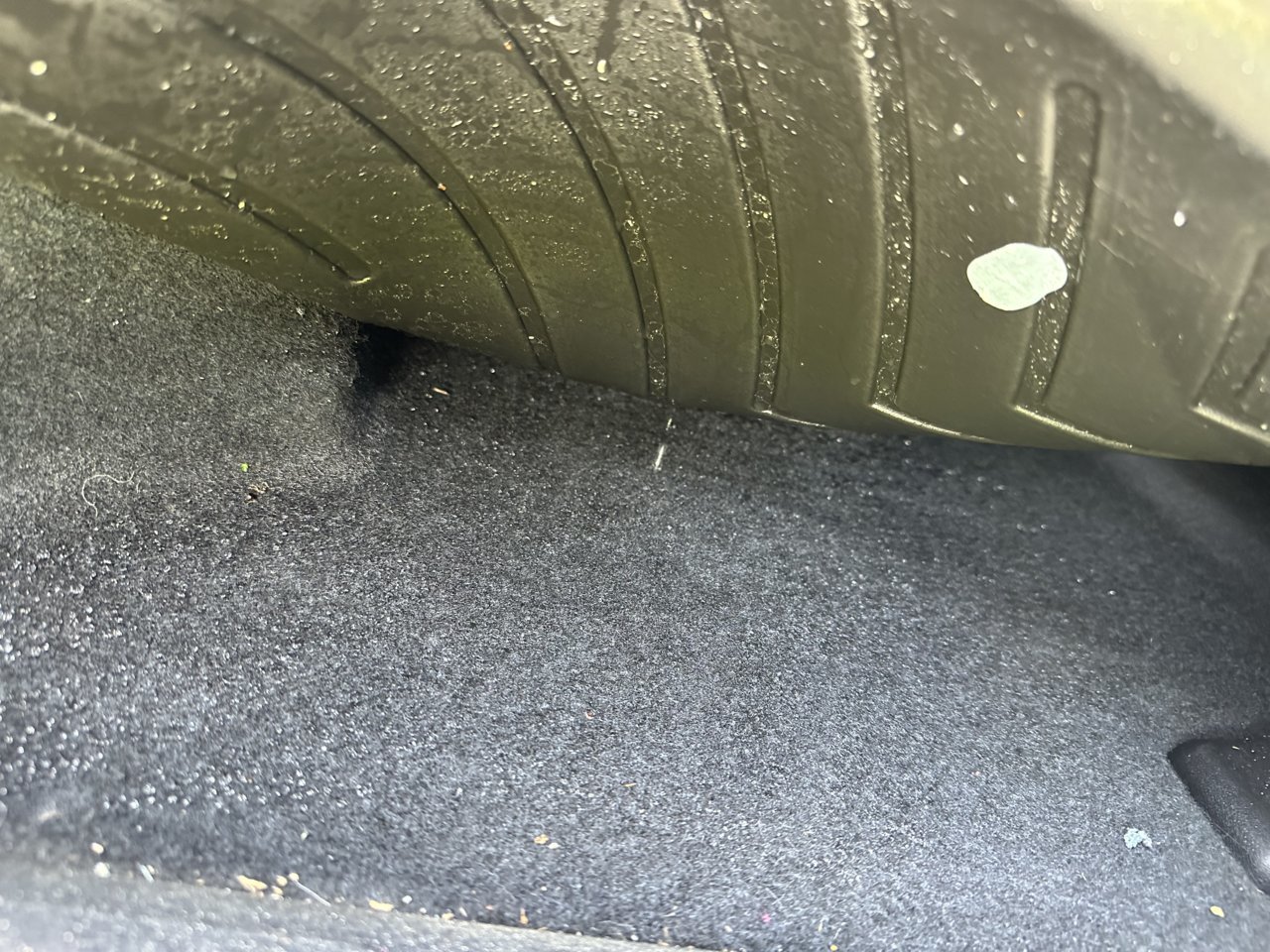Rear Carpet 1.jpg