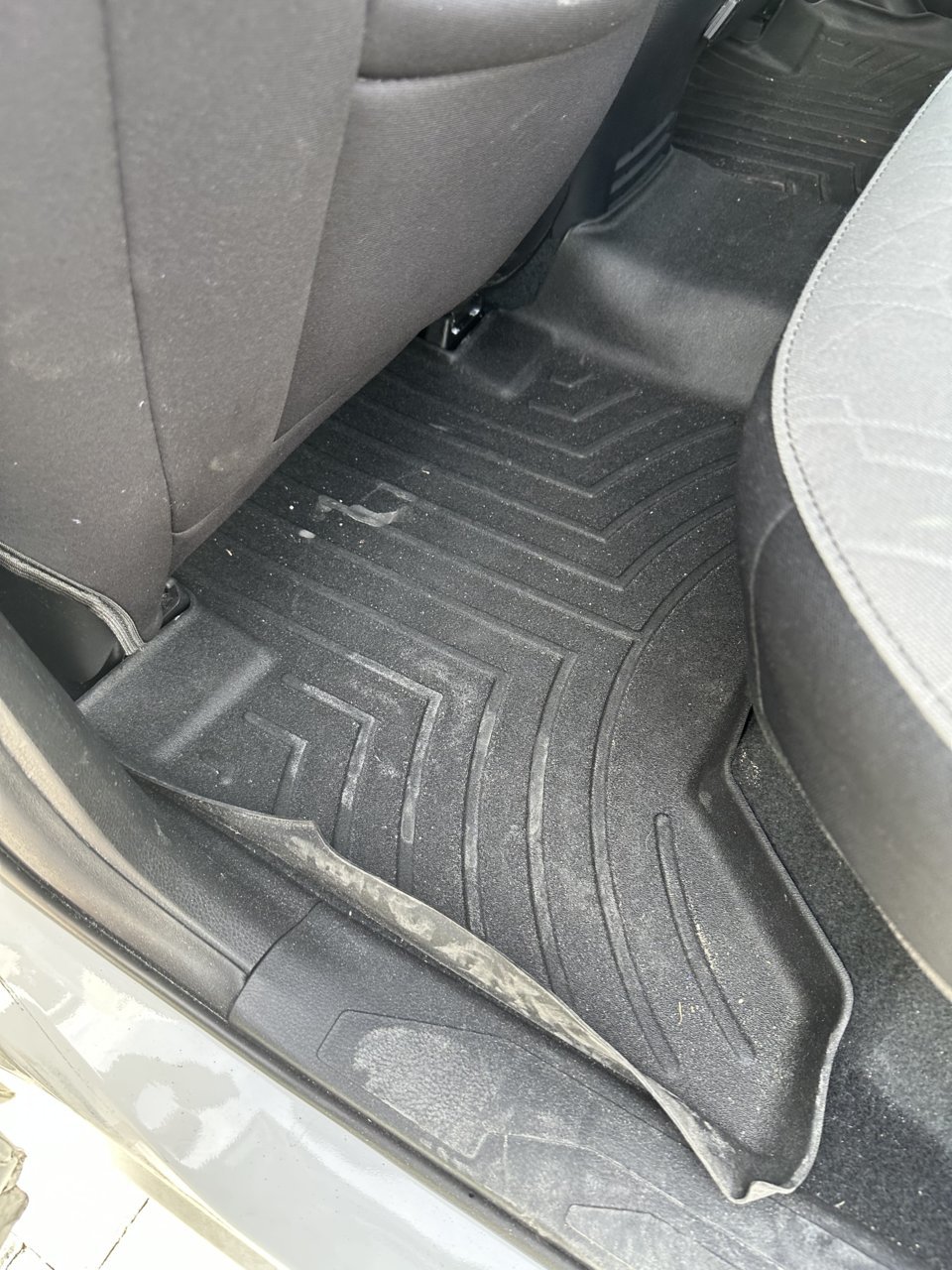 Rear Carpet.jpg