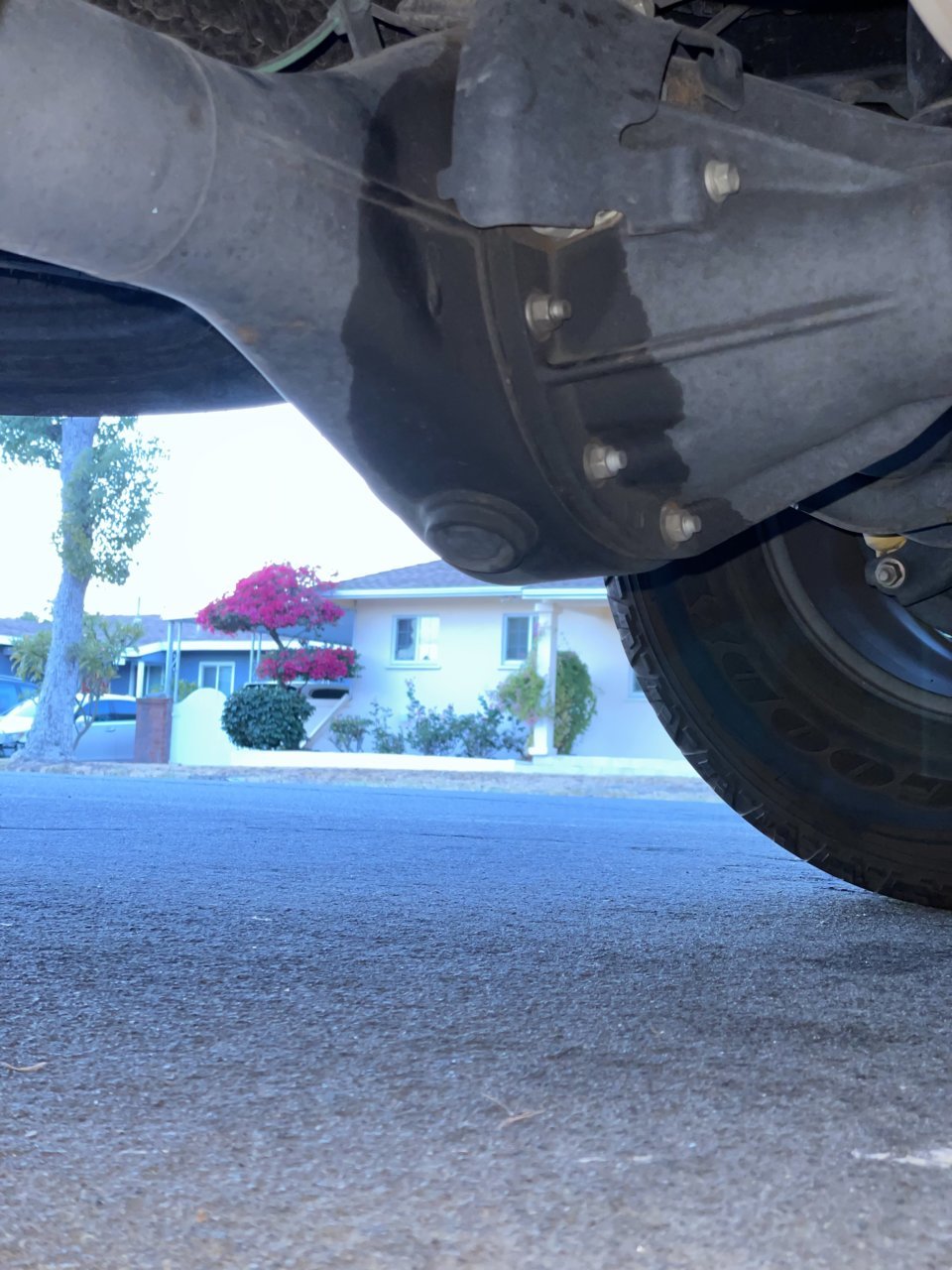 rear diff 2.jpg