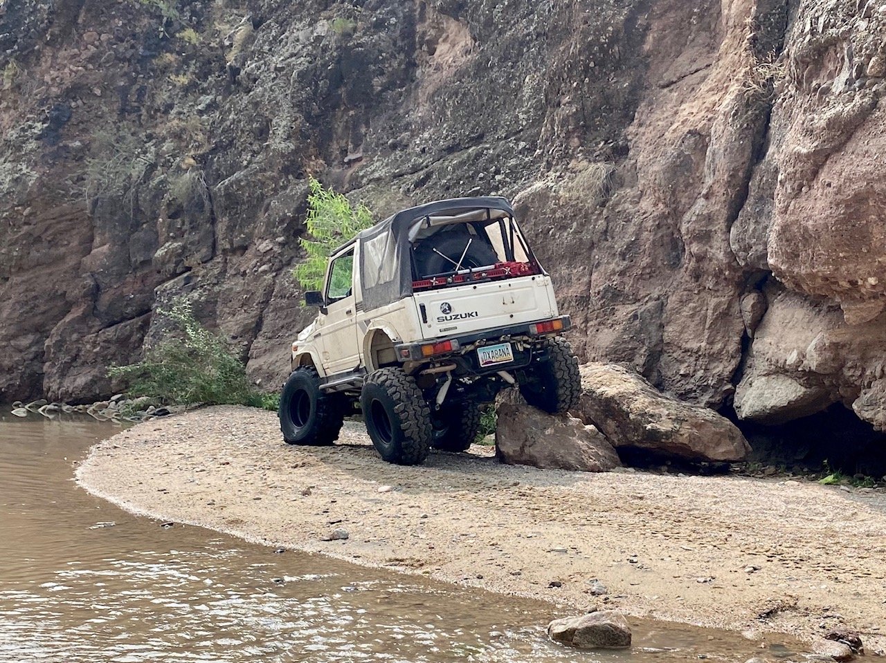 Rear Flex.jpg