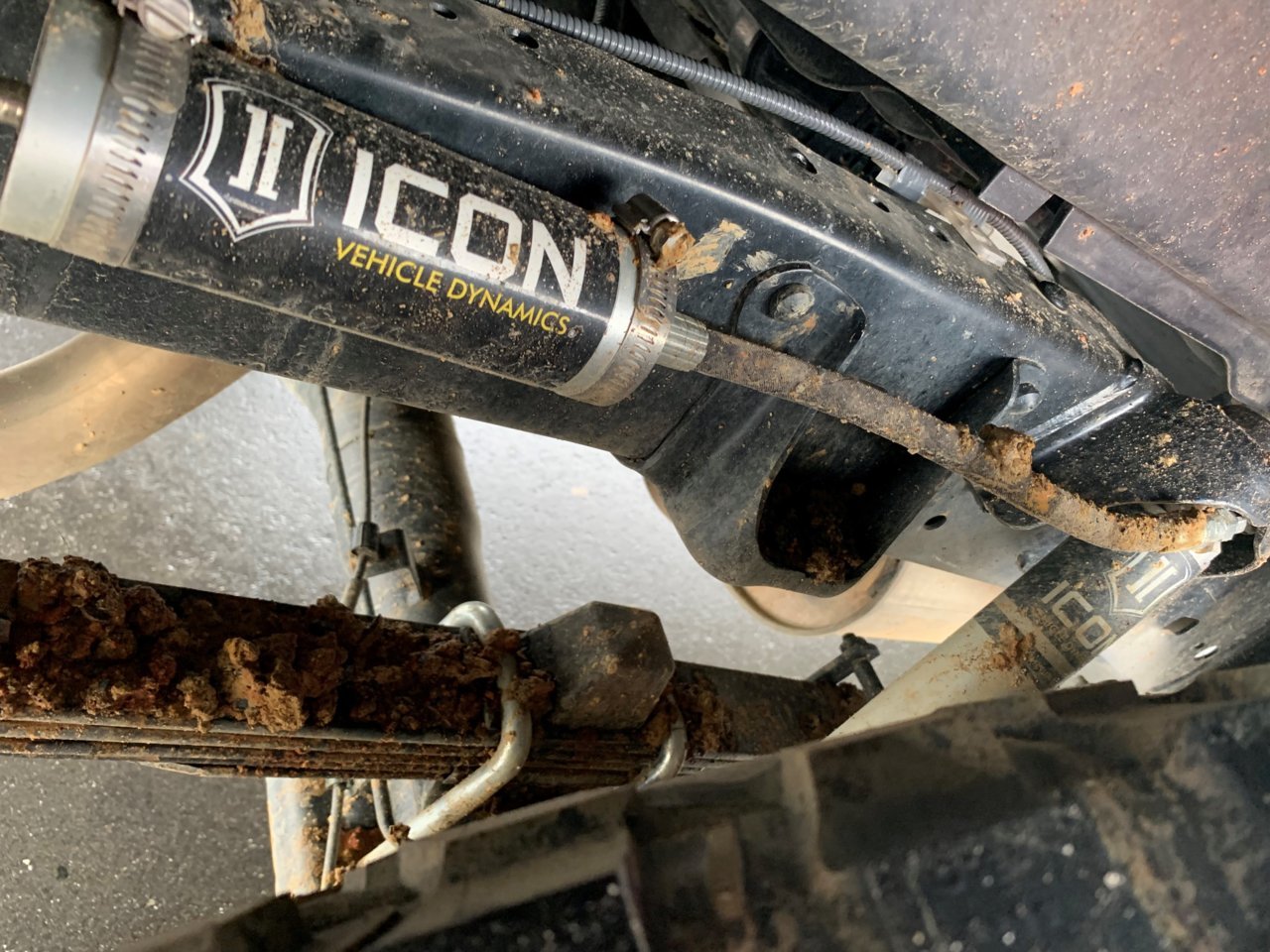 rear icon.jpg