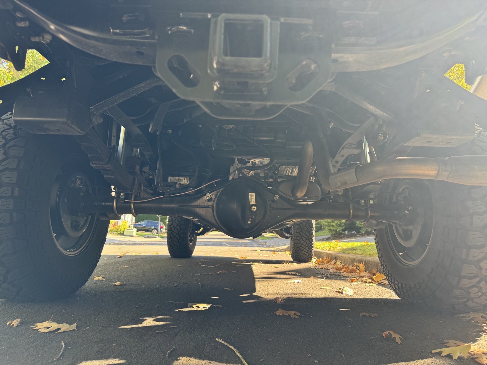 Rear.jpg