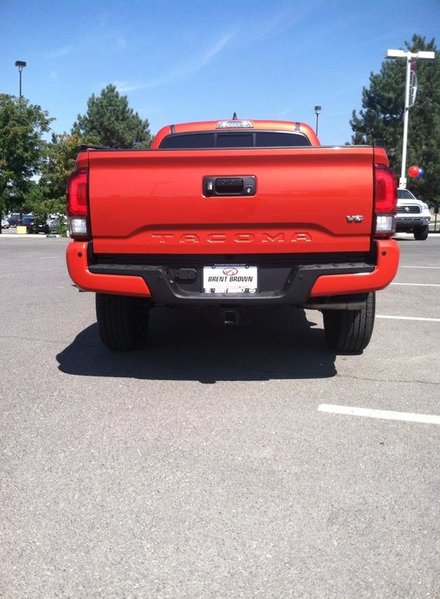 Rear.jpg