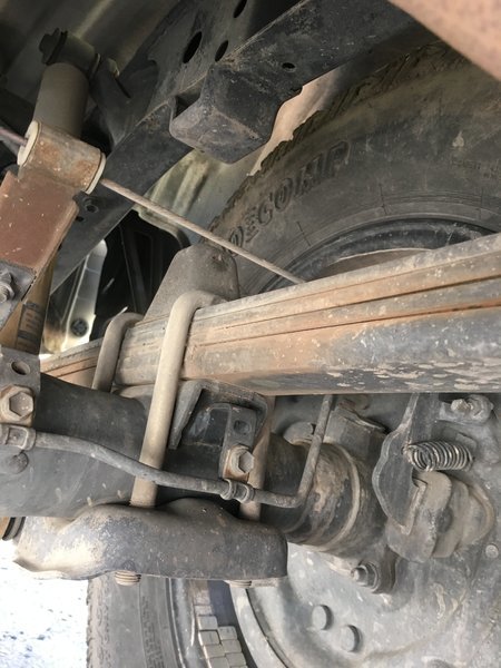 rear leaf.jpg