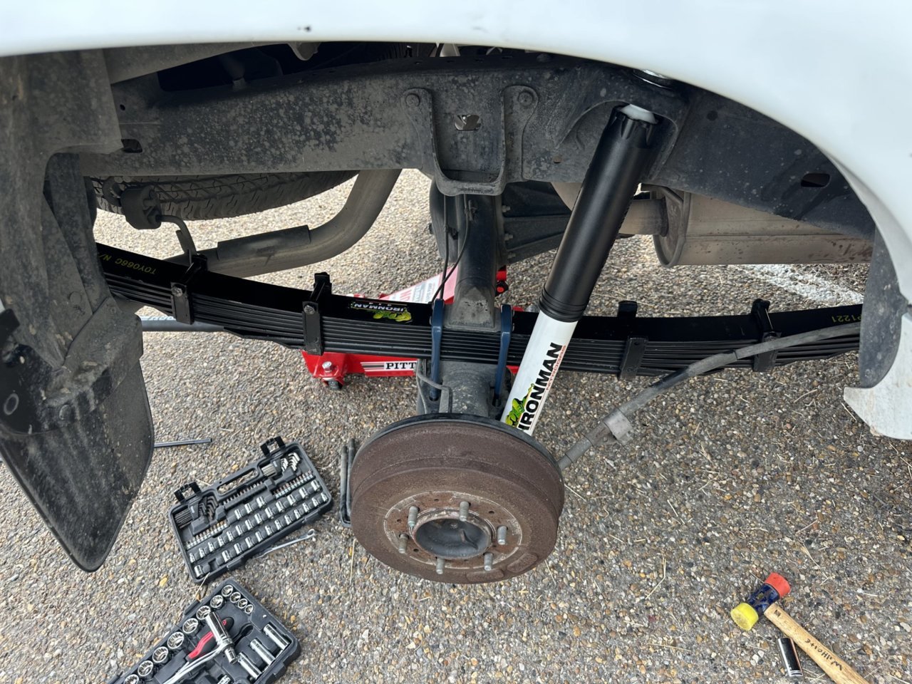 rear leaf.jpg