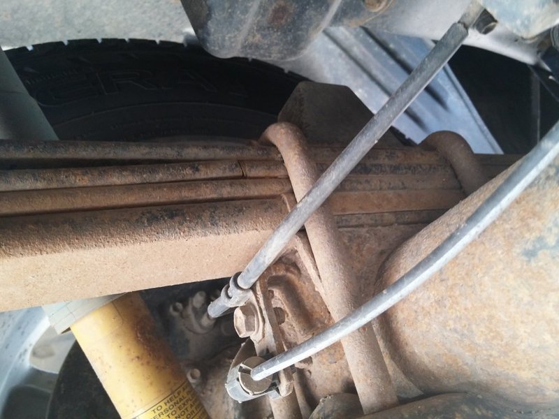 rear leaf.jpg
