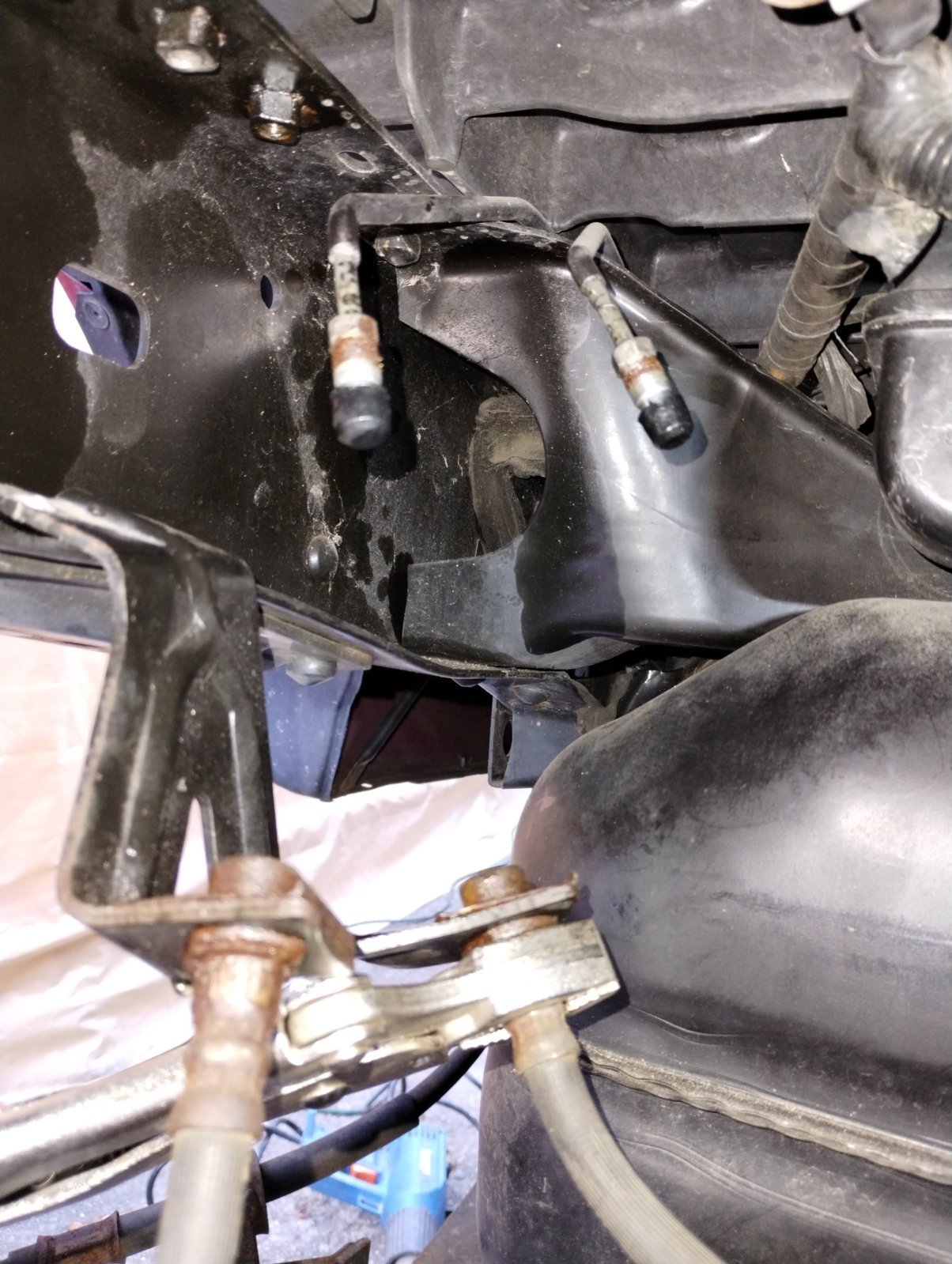 Rear Lines Top Separated.jpg