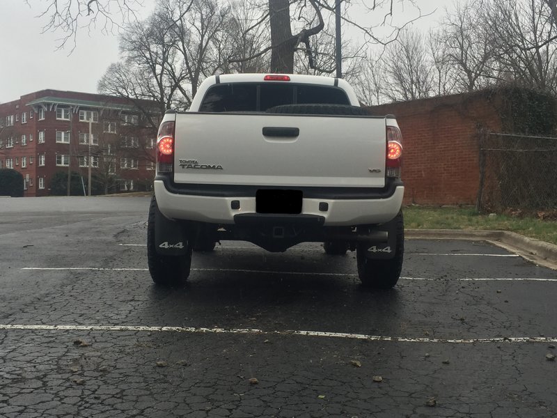 rear now edited.jpg