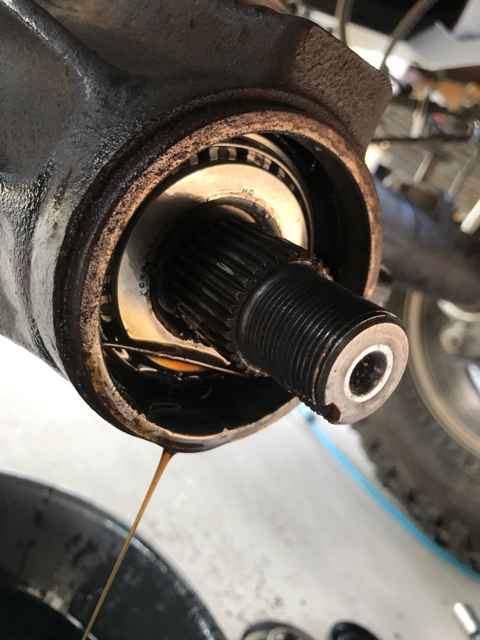 rear pinion seal spring.jpg
