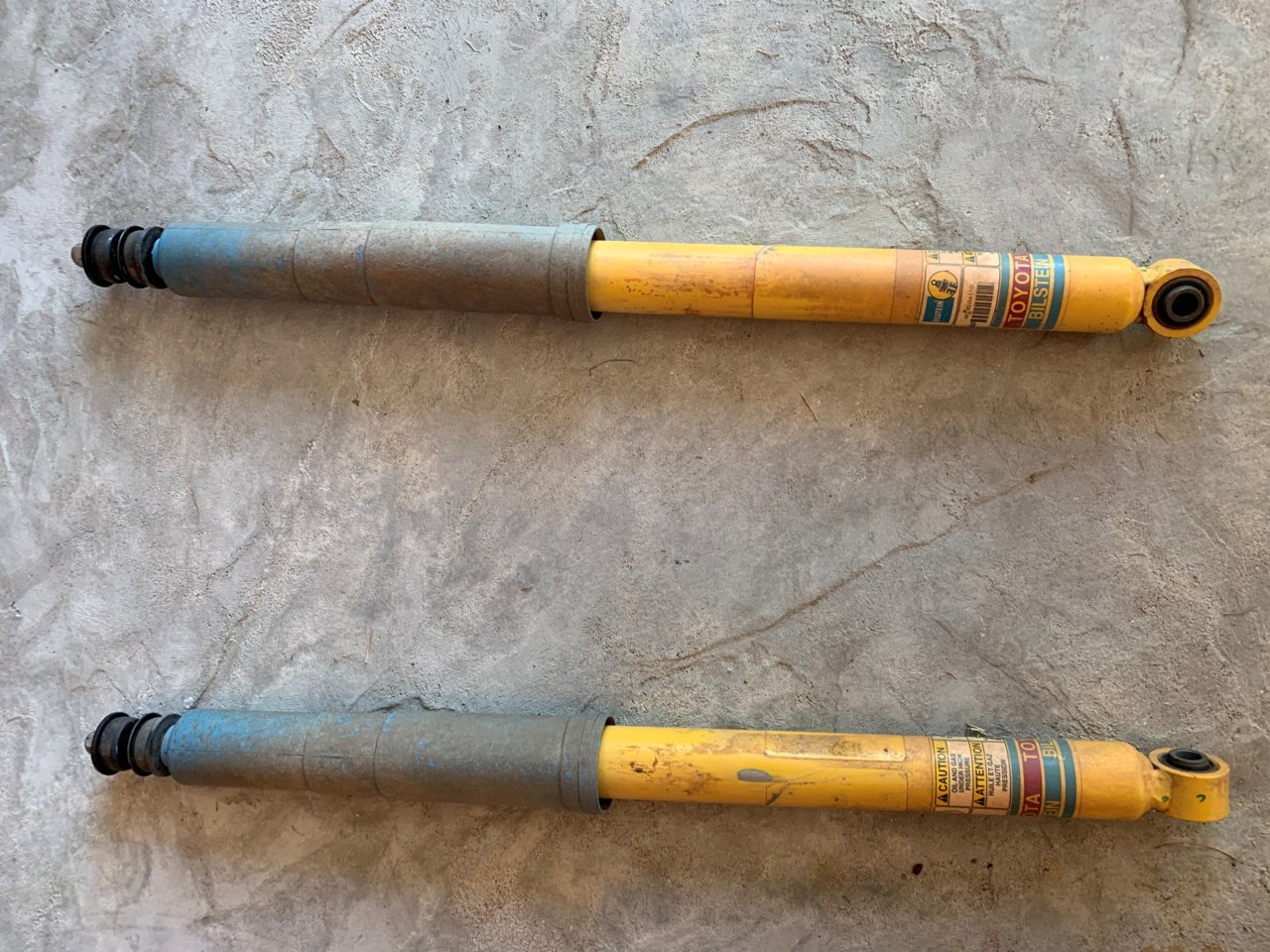 Rear Shocks.jpg