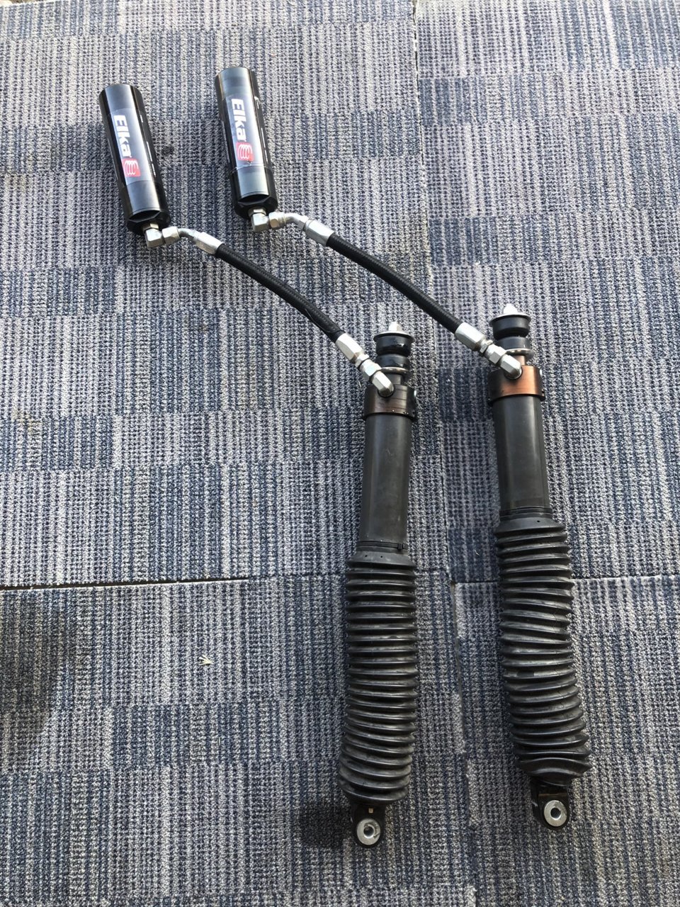Rear Shocks.jpg