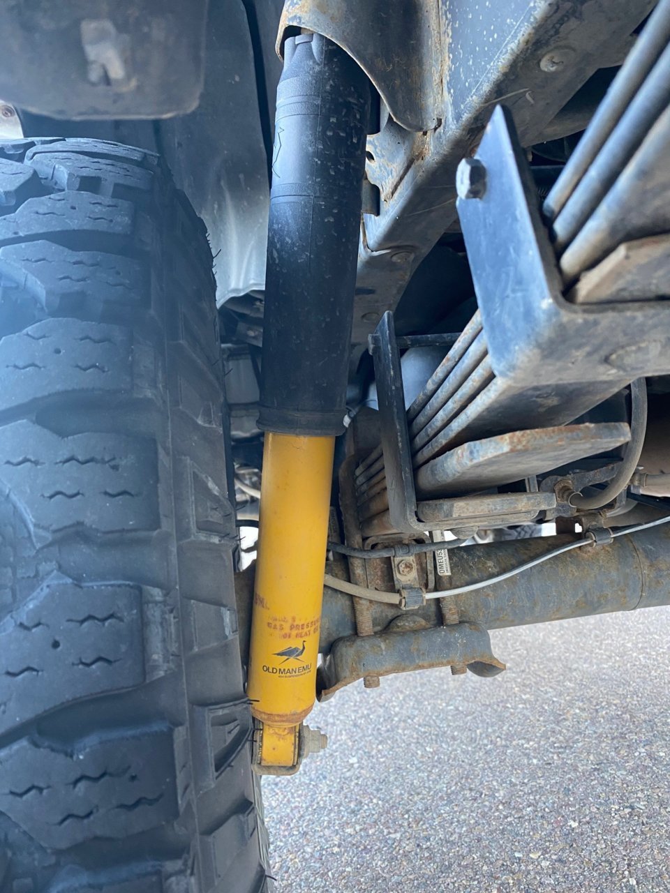 rear shocks.jpg