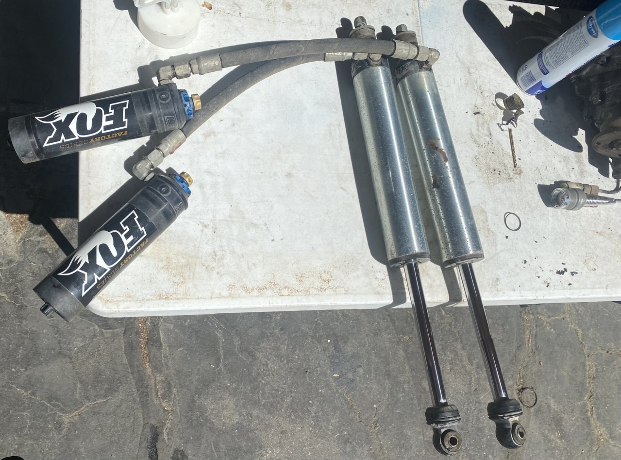 rear shocks.jpg