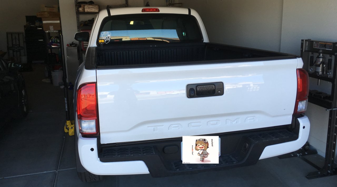 rear shot.jpg