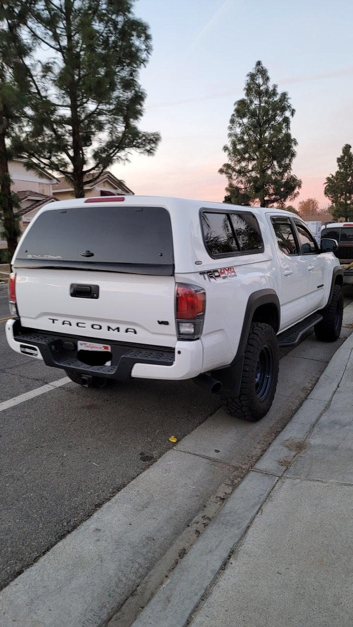 Rear Shot with Shell.jpg